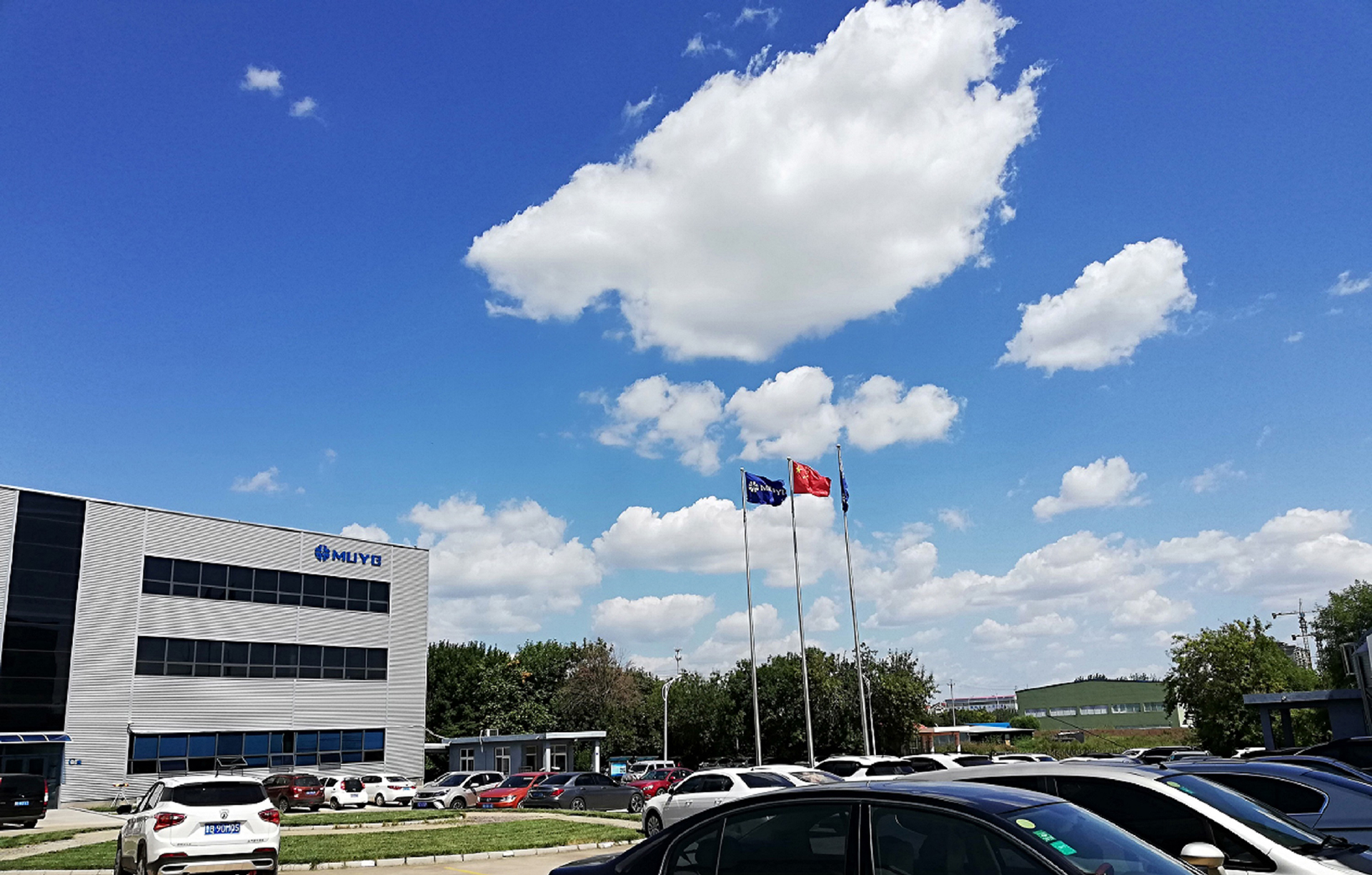 1550735681330914.jpg 藍(lán)天下的牧野.jpg